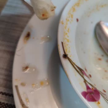 Asr Gıda Hijyen Skandalı: Çorbanın İçinden Çıkan Kıllar