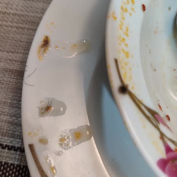 Asr Gıda Hijyen Skandalı: Çorbanın İçinden Çıkan Kıllar