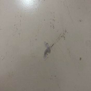 Bellona Yatak Odası Takımında Sürekli Kusurlar Ve İlgisizlik