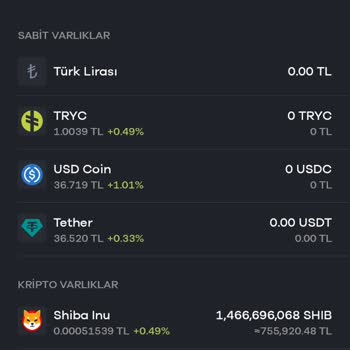 Paribu'da Sistem Erişim Sorunu Ve Zarar Endişesi