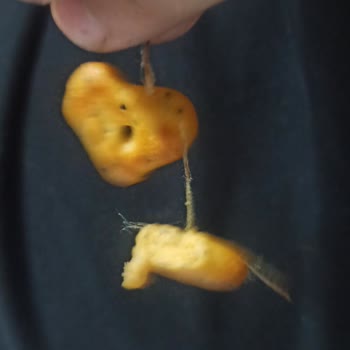 Gıda Güvenliği Tehlikesi: Krakerden Çıkan Yabancı Madde