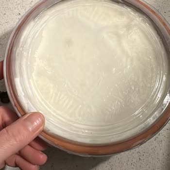 Manda Yoğurdu Hayal Kırıklığı