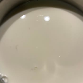BİM Marketten Aldığım Süt Üzerinde Kıllar Yüzüyor!