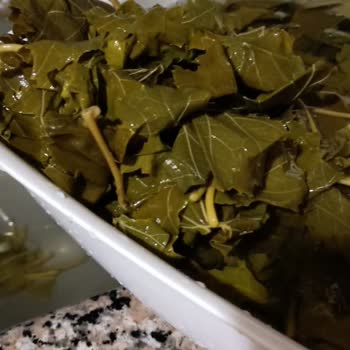 İade Talebine Olumsuz Yanıt: Yapraklar Paramparça!