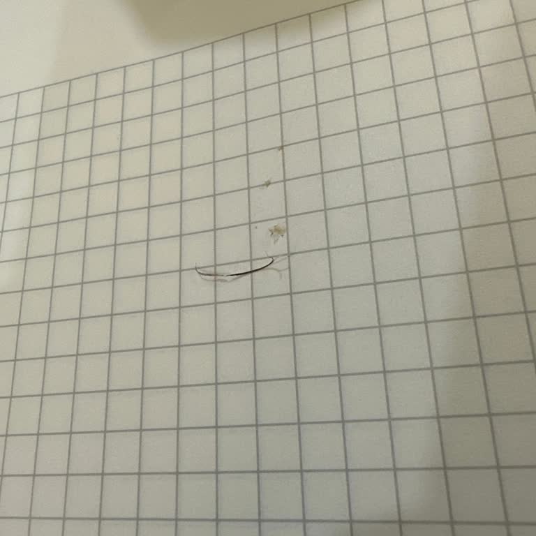 Mis Pudingten Yabancı Madde Çıktı!