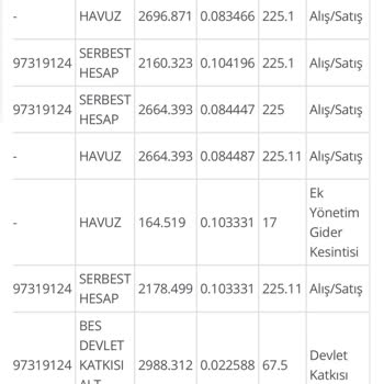 BES Paramın Haksız Yere Havuza Aktarılması
