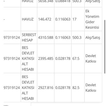 BES Paramın Haksız Yere Havuza Aktarılması