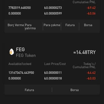 Gate.io Borsasında Coin Adetimin Yanlış Gösterilmesi