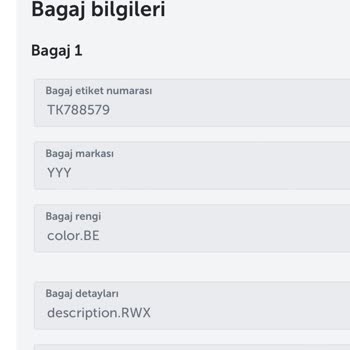 Kayıp Bagaj Sorunu: Türk Hava Yolları'ndan Yanıt Bekliyoruz