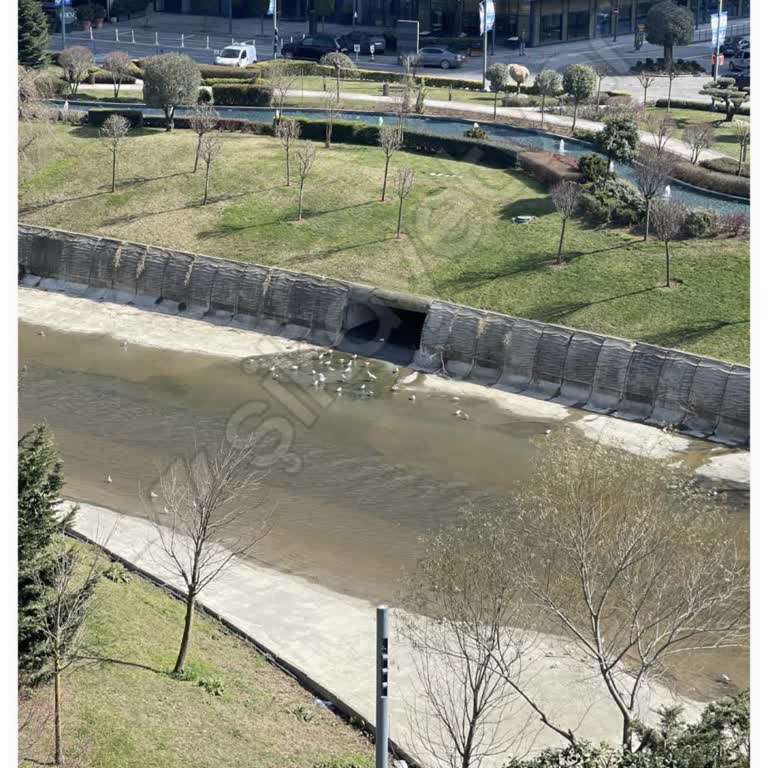 İstanbul Büyükşehir Belediyesi Altyapı Sorunu: Lağım Kokusu Ve Yaşam Kalitesi Düşüşü
