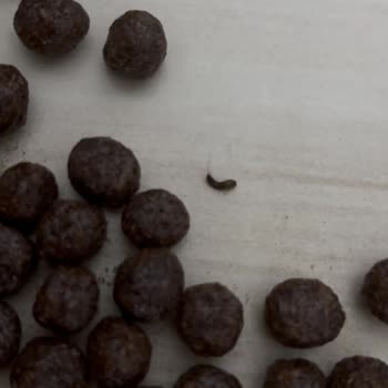 Nesquik Çokokare Ürününden Çıkan Böcek Şoku