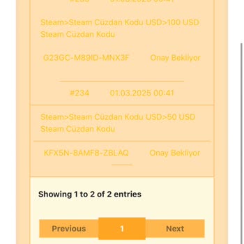Hatalı Steam Kodları Ve Çözümsüz Destek Süreci