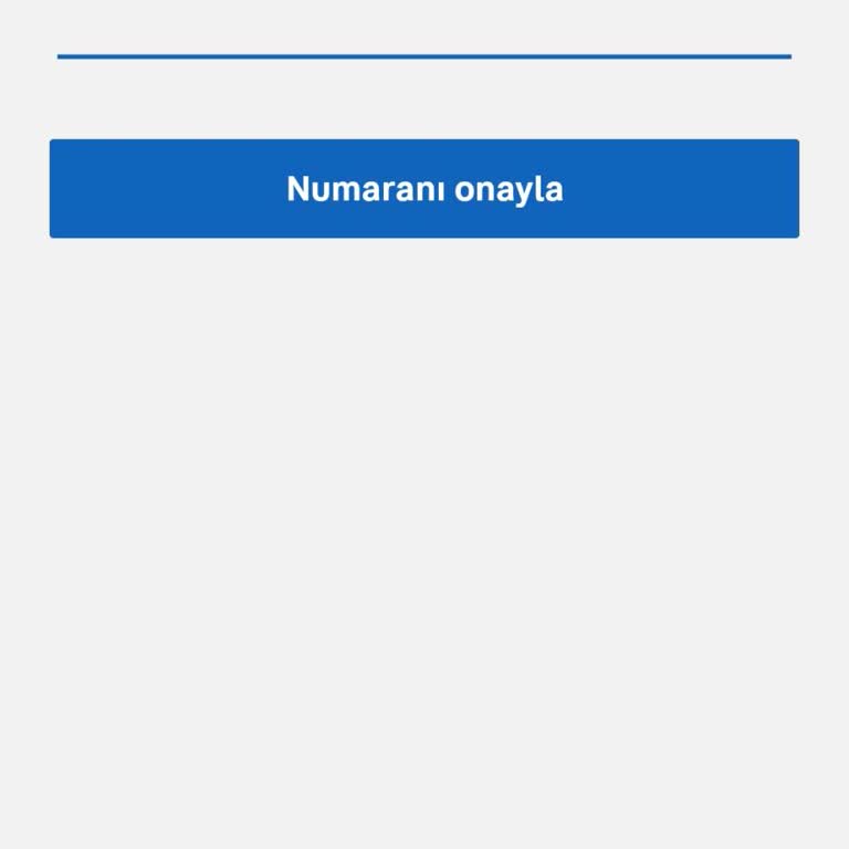 Hesap Giriş Sorunu: Eski Numara Engeli