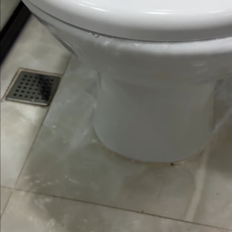 ECA Serel Kanalsız Klozetin Hijyen Sorunu Ve Müşteri Hizmetleri İlgisizliği