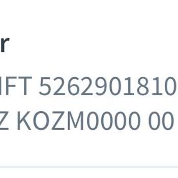 Sinoz Sitesinde Sipariş Verirken Yaşanan Sorun