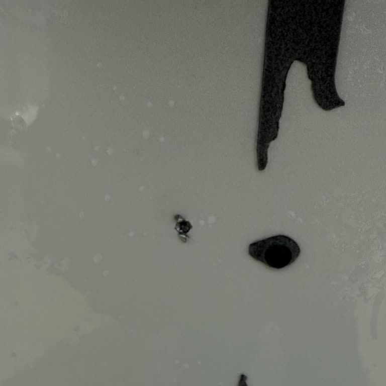 Brand-New Tesla SR Delivered with Drilled Plate Area—Tesla Wants Me to Pay for Repair