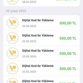 Silinen Kart Ve Kayıp Bakiye: İlgisiz Müşteri Hizmetleri