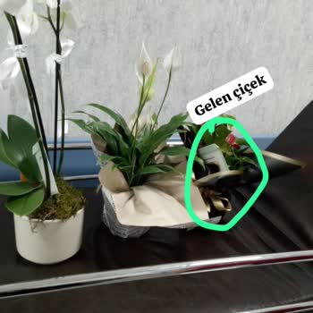 Çiçek Sepeti'nden Beklentileri Karşılamayan Sipariş
