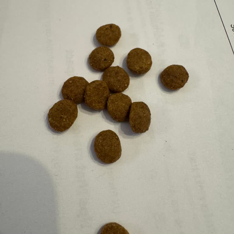 Nemli Ve Kokulu Kedi Maması: İade Sürecinde Zorluklar