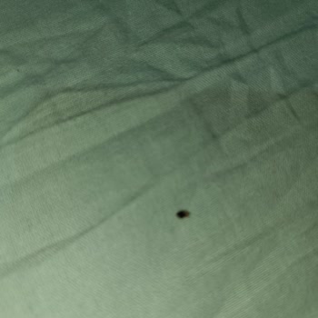 Tahta Kurusu Kabusu: Otelde Kâbus Gecesi