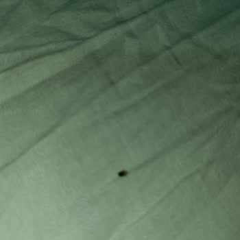 Tahta Kurusu Kabusu: Otelde Kâbus Gecesi