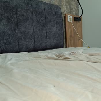 Tahta Kurusu Tatilimizi Kabusa Çevirdi