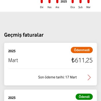 Faturada Haksız Ekstra Ücretler Ve Yanıtsız Müşteri Hizmetleri