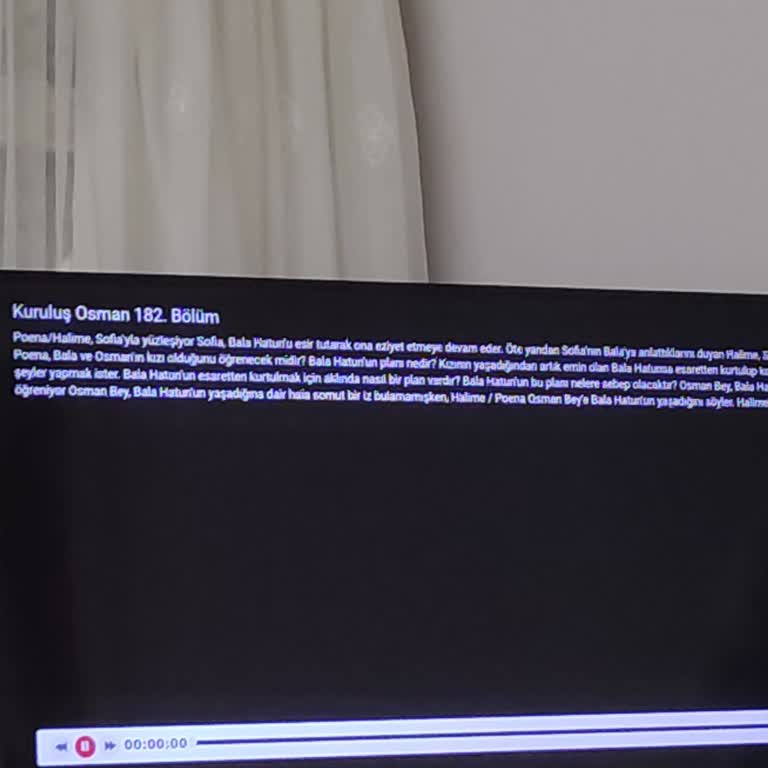 Vestel TV'de Film Ve Dizi Oynatma Sorunu