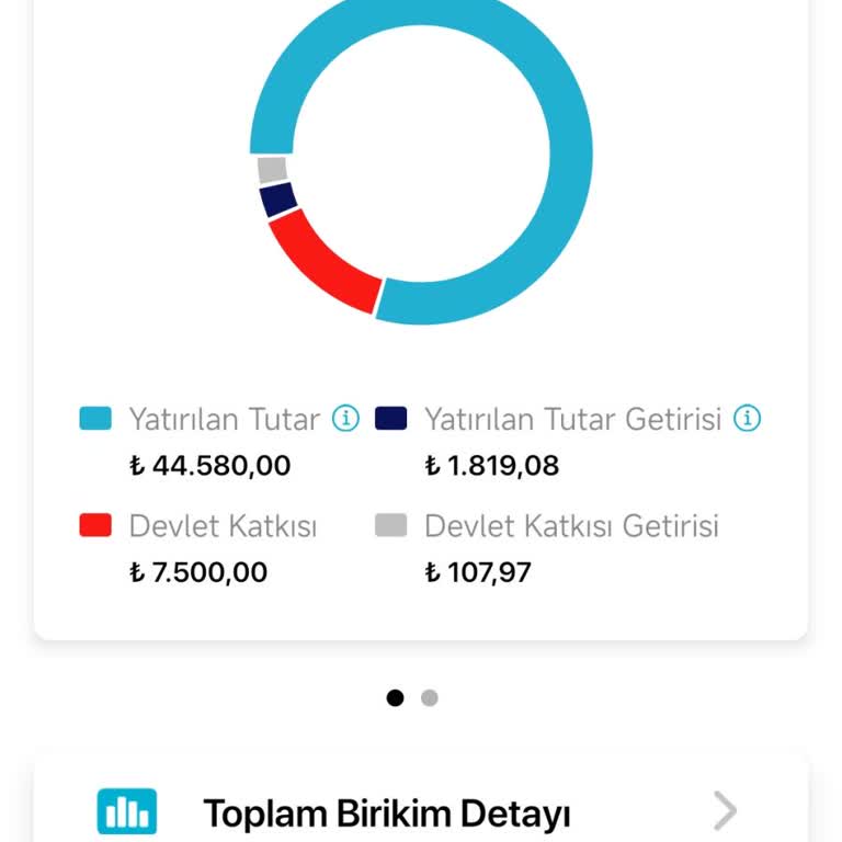 Türkiye Hayat Emeklilik BES'te Devlet Katkısı Yanıltıcı