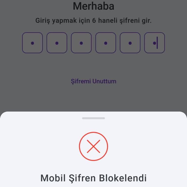 Hadi Mobil Uygulama Sorunu: Sim Kart Blokesi Ve Çözüm Beklentisi