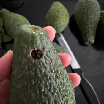 Naturanya Gelen Avokadolar Kurtlu, Çürük Ve Aşırı Küçük!