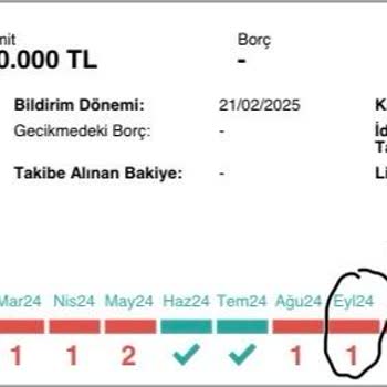 Yanlış Gecikme Kaydı Kredi Notumu Düşürdü