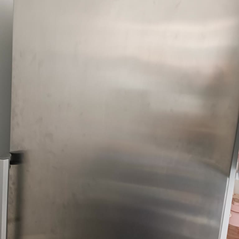 Derin Dondurucu Kapak Sorunu Ve İlgisizlik