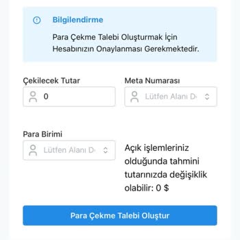 Paramı Çekemiyorum: Space Global Trade'de Belirsizlik!
