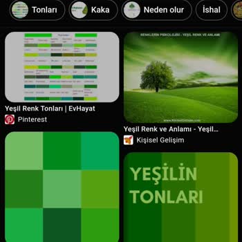 Dolap Yanıltıcı İade Talebi: Renk Konusunda Haksız İddialar