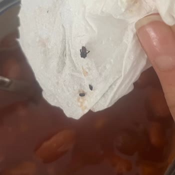 Şok Market'ten Alınan Üründe Hijyen Sorunu
