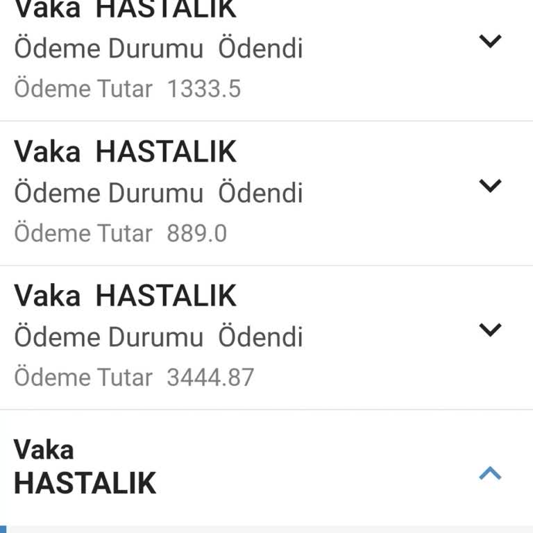 E-Devlet Rapor Ödemesi Gecikmesi Ve 2 Aylık Mağduriyet!