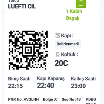 Uçak Binişinde Alkol Kontrolü Ve Hakaret