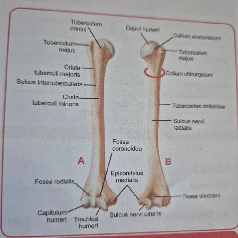 Tuş Data Kitabındaki Kritik Hata Güven Sarsıyor