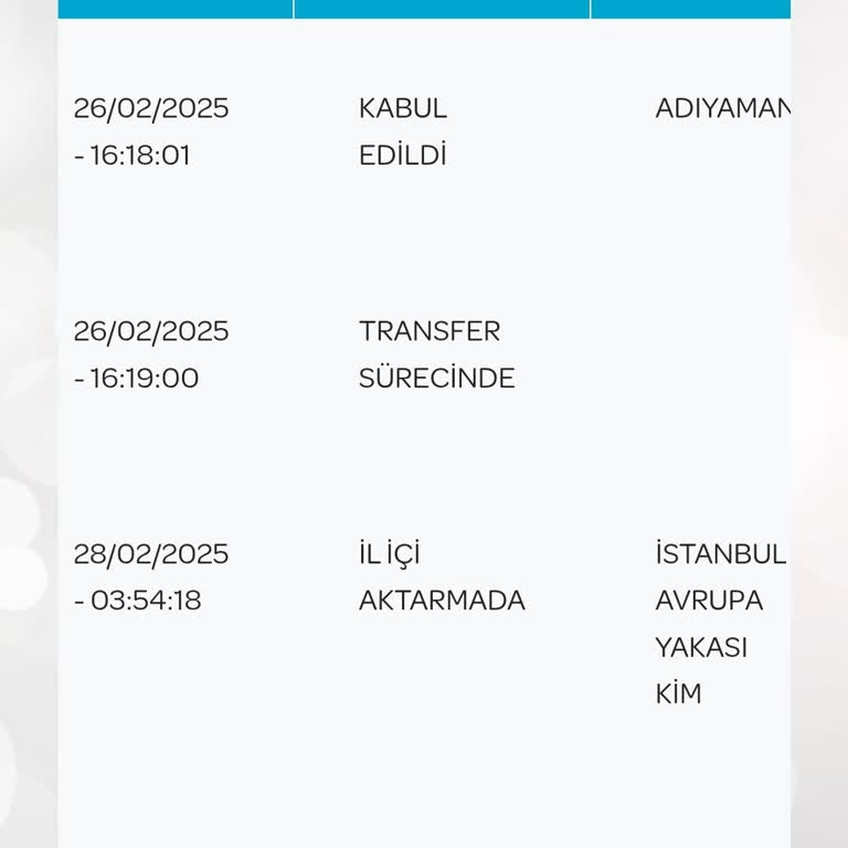 PTT Kargo İle Geciken Sim Kart Teslimatı