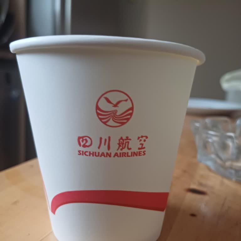 Sichuan Airlines İle Yaşanan Zorlu Yolculuk Deneyimi