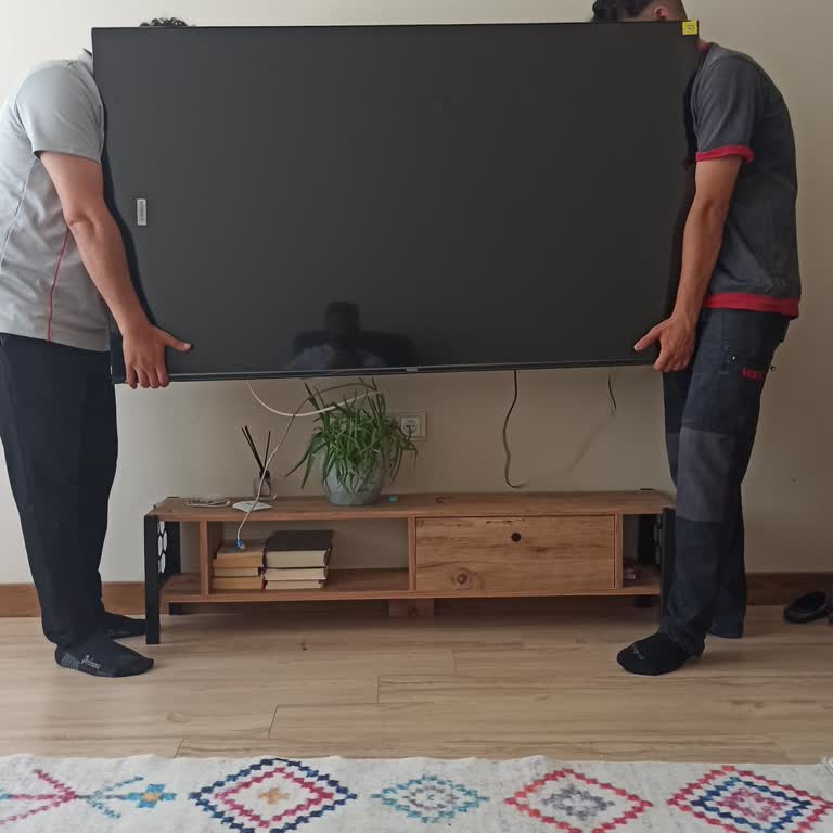 Vestel Qa 9700 QLED TV Cızırtı Sorunu