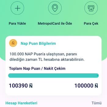 Napolyon Uygulaması Puan Dönüşüm Sorunu