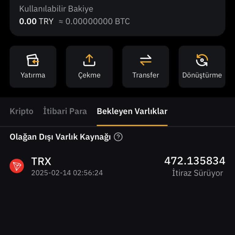 Bybit Account Balance Frozen Without Justification