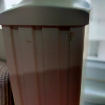 Bellona'dan Gelen Ürün Ve Hizmet Sorunları