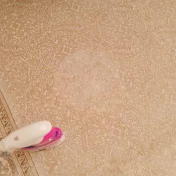 Vanish Kosla Leke Çıkarıcı Halımı Mahvetti!