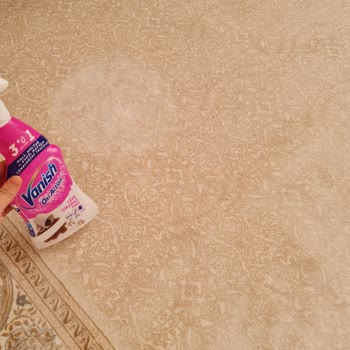 Vanish Kosla Leke Çıkarıcı Halımı Mahvetti!