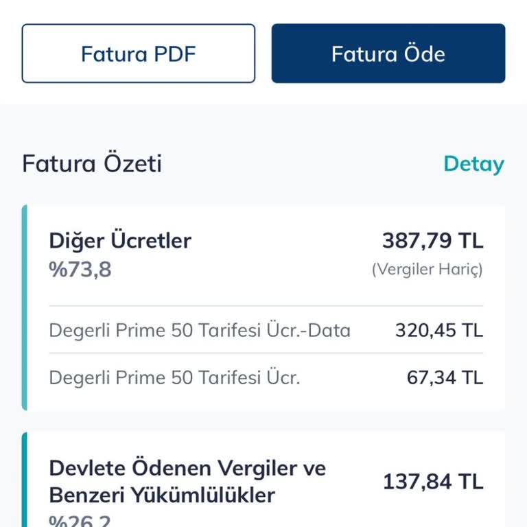 Fatura Şoku: Anlaşılmayan Ekstra Ücretler