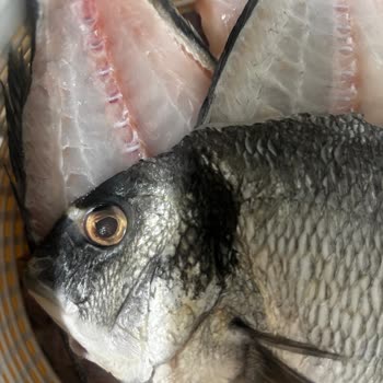 Bayat Balık Siparişi: Güven Sarsan Deneyim