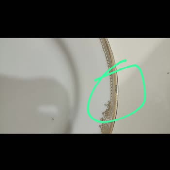 Gallery Crystal Çeyiz Paketinde Hayal Kırıklığı: Defolu Ürünler Ve İlgisiz Hizmet